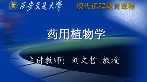 默认计划 